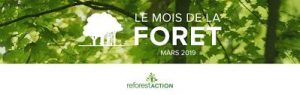 Gestion durable de la Forêt