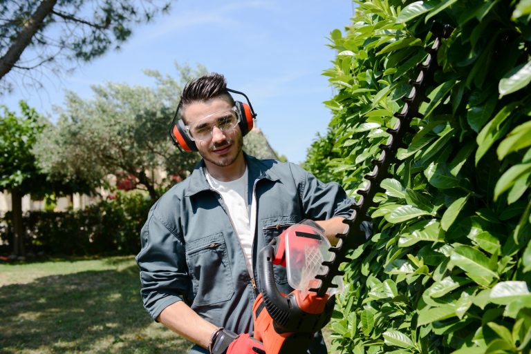 CAPa Jardinier Paysagiste