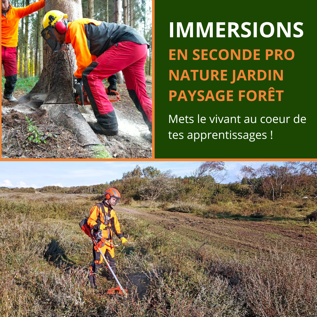 Copie de Bannière web – Journée immersion (1080 x 1080 px)(6)